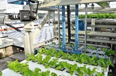 從田園到云端 當無人種植技術跨越邊界，改寫茶葉的未來