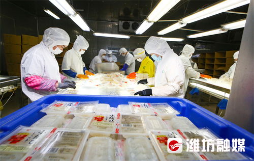 在創新沃野上書寫中國農業現代化新答卷——濰坊農業現代化發展觀察
