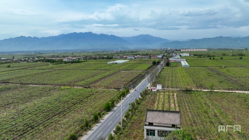 鄉路上，感受脈動中國——美麗鄉路服務提質，地標鮮果助力振興