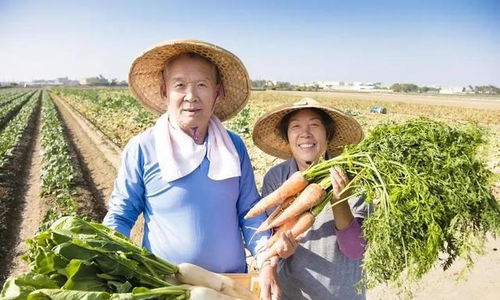 退休金4200的我，在農村嫂子家看到的另一種富足