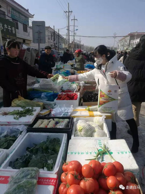 白馬鋪鎮多措并舉，全力保障春節期間農產品質量安全